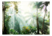 Fototapete Morning in the Jungle - Sunshine Among the Tropical Vegetation 151261 additionalThumb 1