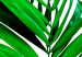 Leinwandbild Juicy Leaf (1 Part) Vertical 125171 additionalThumb 5