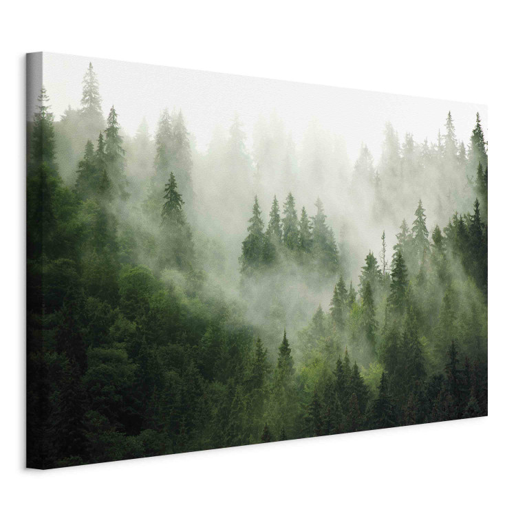Wandbild XXL Mountain Forest - View of Green Coniferous Trees Covered With Fog [Large Format] 151171 additionalImage 2