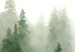 Wandbild XXL Mountain Forest - View of Green Coniferous Trees Covered With Fog [Large Format] 151171 additionalThumb 5