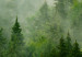 Wandbild XXL Mountain Forest - View of Green Coniferous Trees Covered With Fog [Large Format] 151171 additionalThumb 4