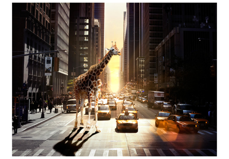 Fototapete New York - Tiermotiv mit Giraffe vor städtischer Architektur 61471 additionalImage 1