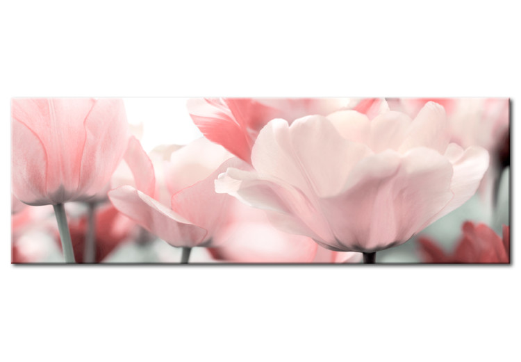 Leinwandbild Pink Tulips 90081
