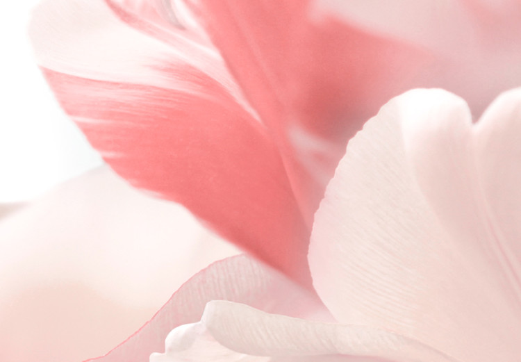 Leinwandbild Pink Tulips 90081 additionalImage 4