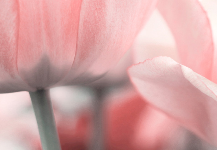 Leinwandbild Pink Tulips 90081 additionalImage 5