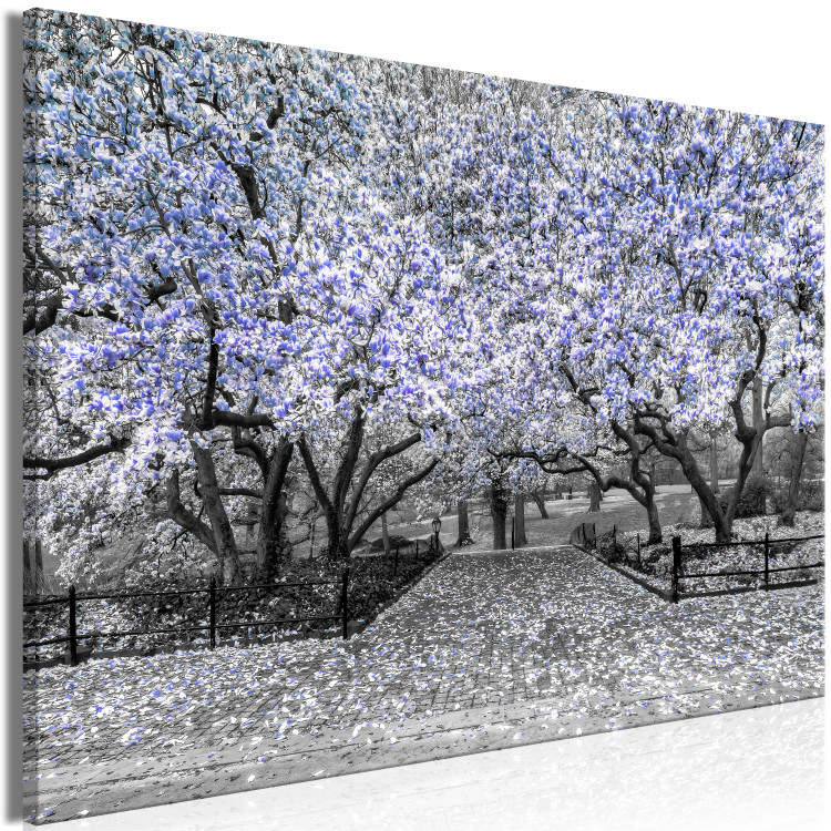 auf Blühende Bilder - Wandbilder Blumen - Magnolienbaum - Magnolien Blumen Violett-Tönen in - Leinwand mit Magnolie
