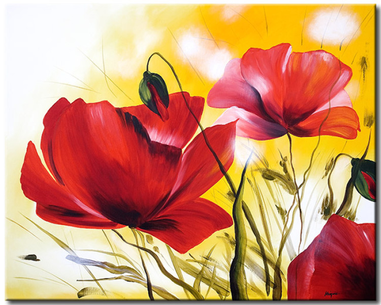Leinwandbild Schöne Mohnblumen (1-teilig) - Blumenwiese auf sonnigem Hintergrund 48591