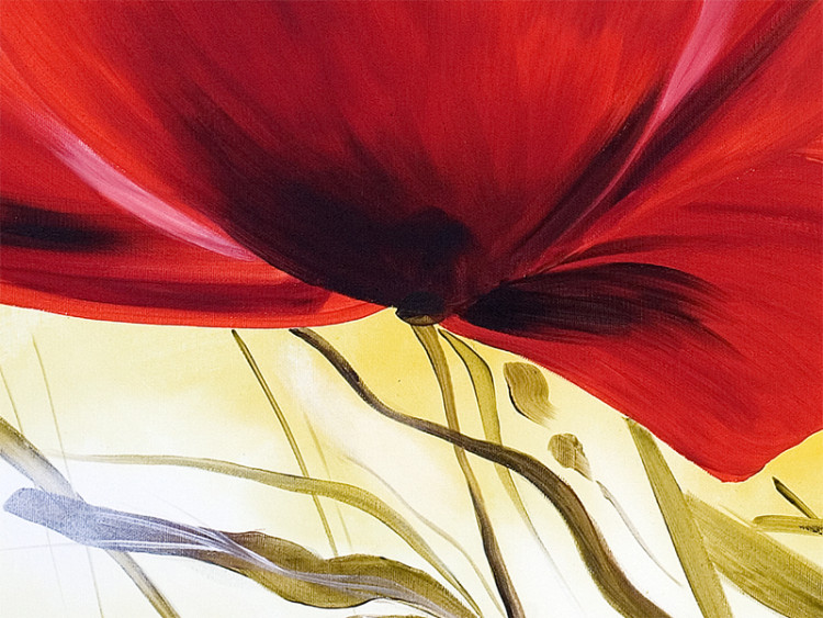 Leinwandbild Schöne Mohnblumen (1-teilig) - Blumenwiese auf sonnigem Hintergrund 48591 additionalImage 3