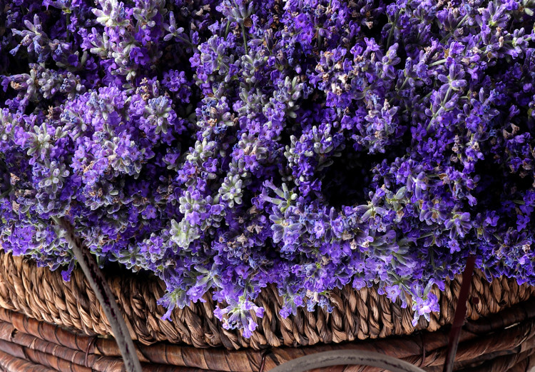 Leinwandbild Secret Lavender Bouquet (1 Part) Vertical 128402 additionalImage 4