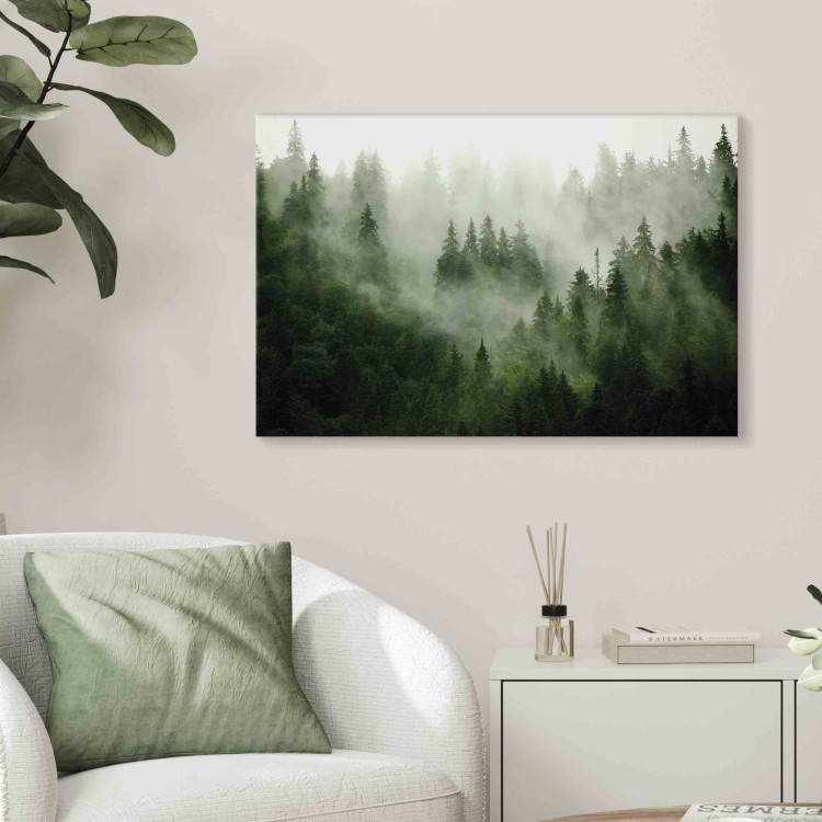 Bild auf Leinwand Mountain Forest - View of Green Coniferous Trees Covered With Fog 151202 additionalImage 8