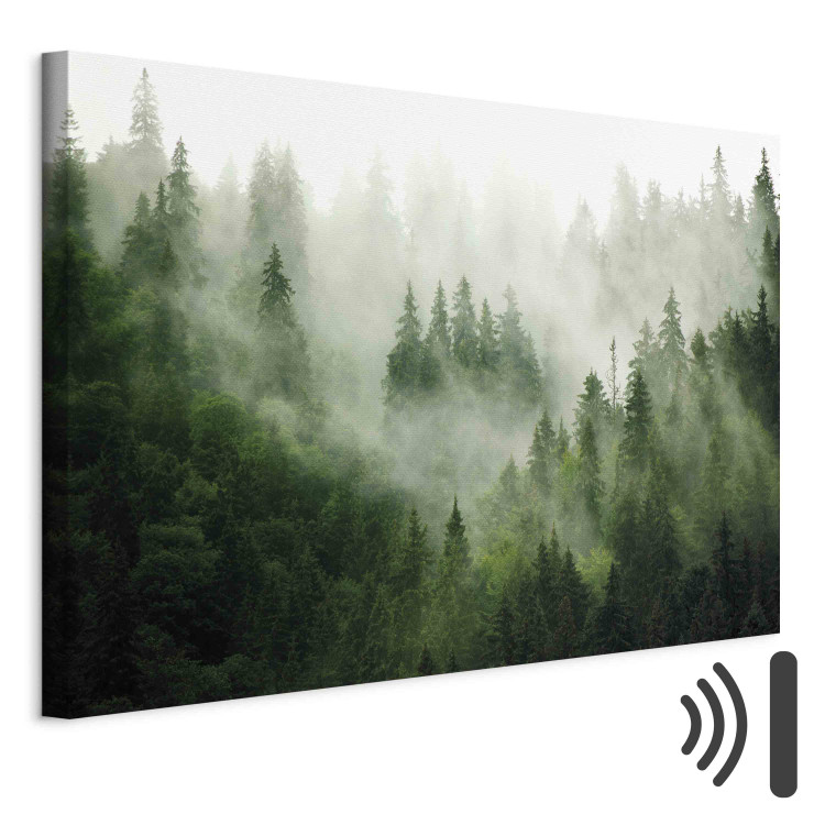 Bild auf Leinwand Mountain Forest - View of Green Coniferous Trees Covered With Fog 151202 additionalImage 7
