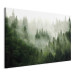 Bild auf Leinwand Mountain Forest - View of Green Coniferous Trees Covered With Fog 151202 additionalThumb 2