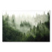 Bild auf Leinwand Mountain Forest - View of Green Coniferous Trees Covered With Fog 151202