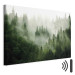 Bild auf Leinwand Mountain Forest - View of Green Coniferous Trees Covered With Fog 151202 additionalThumb 7