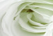 Wandbild Weiße Rosenknospen - Komposition mit Blumen und grünen Akzenten 123212 additionalThumb 4