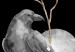 Fototapete Magic Dream - Enchanted Ravens in the Branches Against the Background of Moons 146012 additionalThumb 3