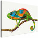 Malen nach Zahlen-Bild für Erwachsene Chameleon 119222 additionalThumb 5