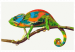 Malen nach Zahlen-Bild für Erwachsene Chameleon 119222 additionalThumb 7