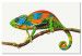 Malen nach Zahlen-Bild für Erwachsene Chameleon 119222 additionalThumb 6