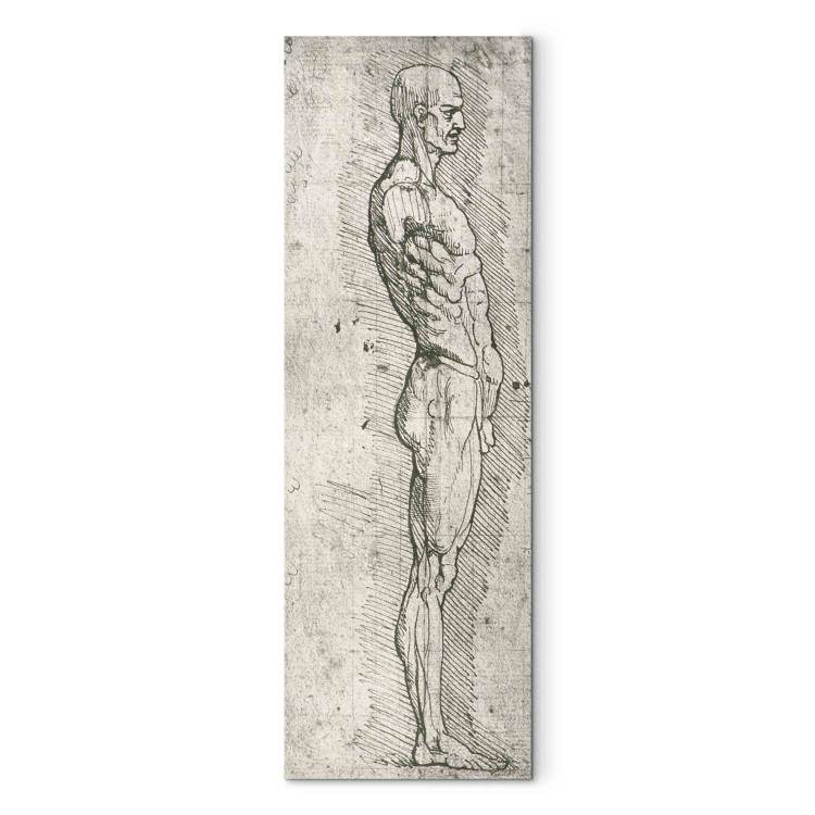 Wandbild Anatomical Study (pen and ink on paper) 158022 additionalImage 7