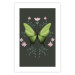 Poster Butterfly II 148052 additionalThumb 19