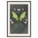 Poster Butterfly II 148052 additionalThumb 26