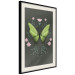 Poster Butterfly II 148052 additionalThumb 3