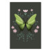 Poster Butterfly II 148052