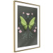 Poster Butterfly II 148052 additionalThumb 7