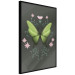 Poster Butterfly II 148052 additionalThumb 6