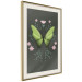 Poster Butterfly II 148052 additionalThumb 11