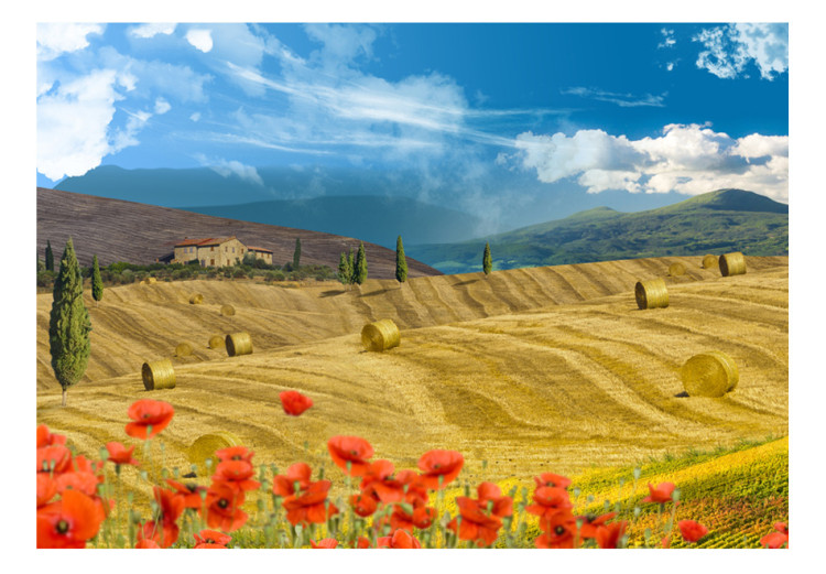 Vlies Fototapete Italienische Toskana - Landschaft mit Bäumen auf goldenen Wiesen 59852 additionalImage 1