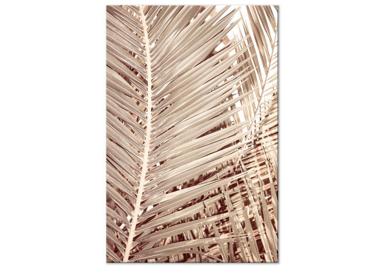 Wandbild Getrocknete Palme - trockene Palmblätter auf einem weißen Hintergrund 135272