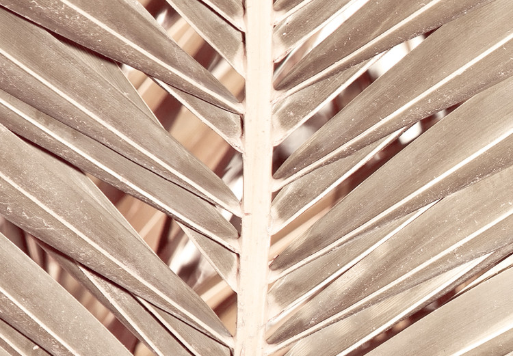 Wandbild Getrocknete Palme - trockene Palmblätter auf einem weißen Hintergrund 135272 additionalImage 4