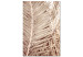 Wandbild Getrocknete Palme - trockene Palmblätter auf einem weißen Hintergrund 135272