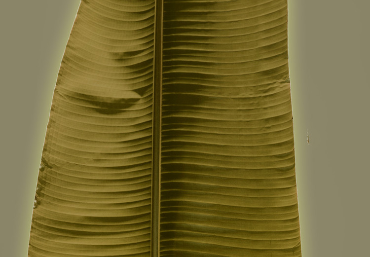 Wandbild Exotic Leaf (1 Part) Vertical 126192 additionalImage 5