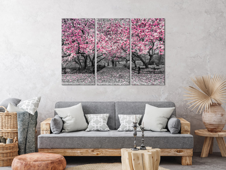 Leinwandbild Blühende Magnolie - Triptychon mit Magnolienbäumen und rosa Blumen 128792 additionalImage 3