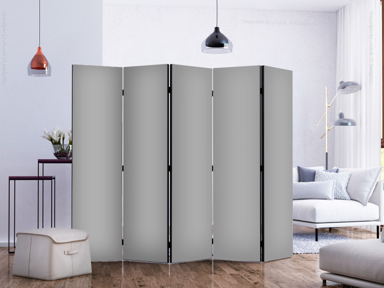 Paravent Solid Grey II [Room Dividers] 150792 additionalImage 2