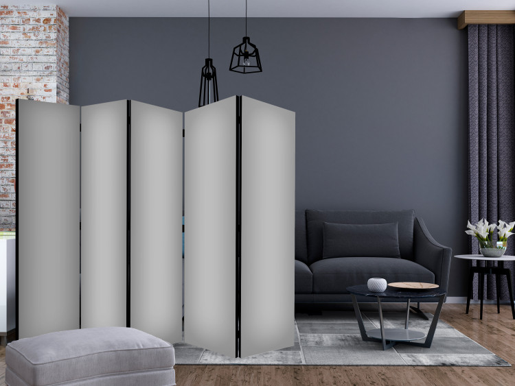 Paravent Solid Grey II [Room Dividers] 150792 additionalImage 4