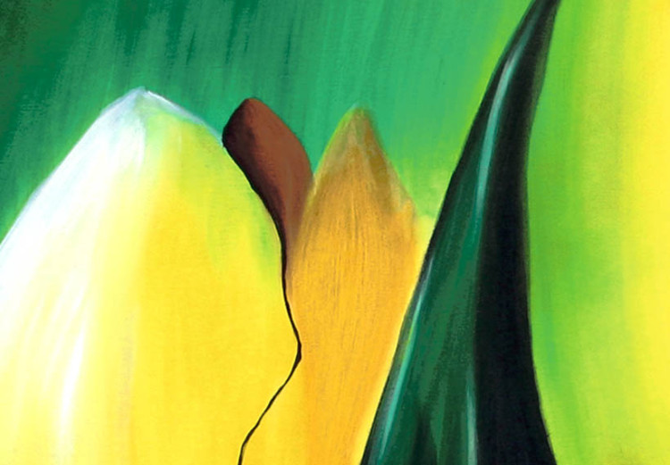 Bild auf Leinwand Sonnige Tulpen - ein florales Motiv voller großer, gelber Blüten 48692 additionalImage 3