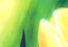 Bild auf Leinwand Sonnige Tulpen - ein florales Motiv voller großer, gelber Blüten 48692 additionalThumb 2
