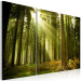 Leinwandbild Wald - Schönheit der Natur 58603 additionalThumb 2