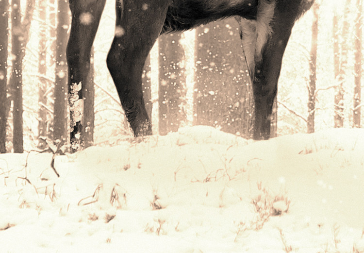 Fototapete Hirsch im Wald - eine Winterwaldlandschaft mit einem Hirsch auf dem Hintergrund von Sepiabäumen 126813 additionalImage 3