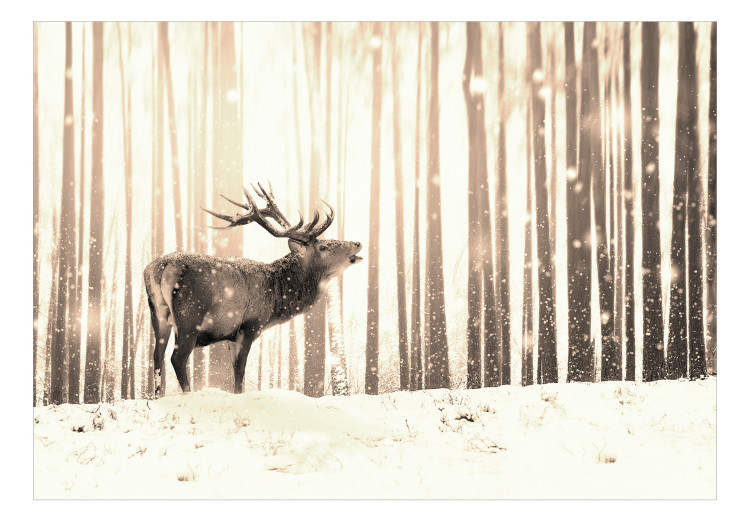 Fototapete Hirsch im Wald - eine Winterwaldlandschaft mit einem Hirsch auf dem Hintergrund von Sepiabäumen 126813 additionalImage 1