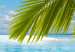 Leinwandbild Paradise island 50013 additionalThumb 5