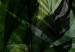 Wandbild Tropical Leaves - Plants in Dew Against a Background of Greenery in the Mist 151423 additionalThumb 5