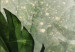 Wandbild Tropical Leaves - Plants in Dew Against a Background of Greenery in the Mist 151423 additionalThumb 4