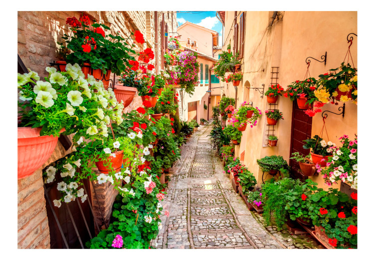 Vlies Fototapete Umbrien - Mediterrane Landschaft mit bunter Architektur und Blumen 98143 additionalImage 1