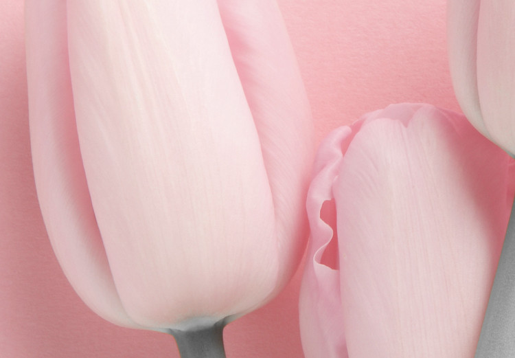 Bild auf Leinwand Six Tulips (1 Part) Vertical 117853 additionalImage 4