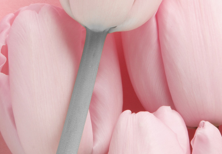 Bild auf Leinwand Six Tulips (1 Part) Vertical 117853 additionalImage 5